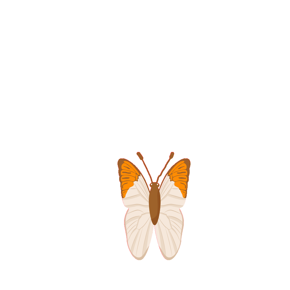 gif2